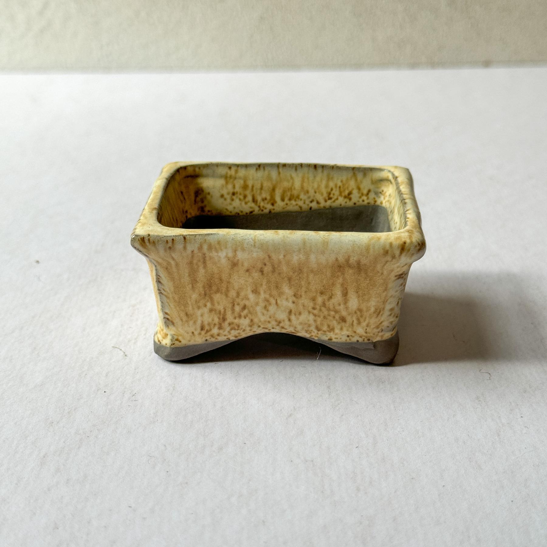 Mini Bonsai Pot | Dead Stock - Nagamochi Shop