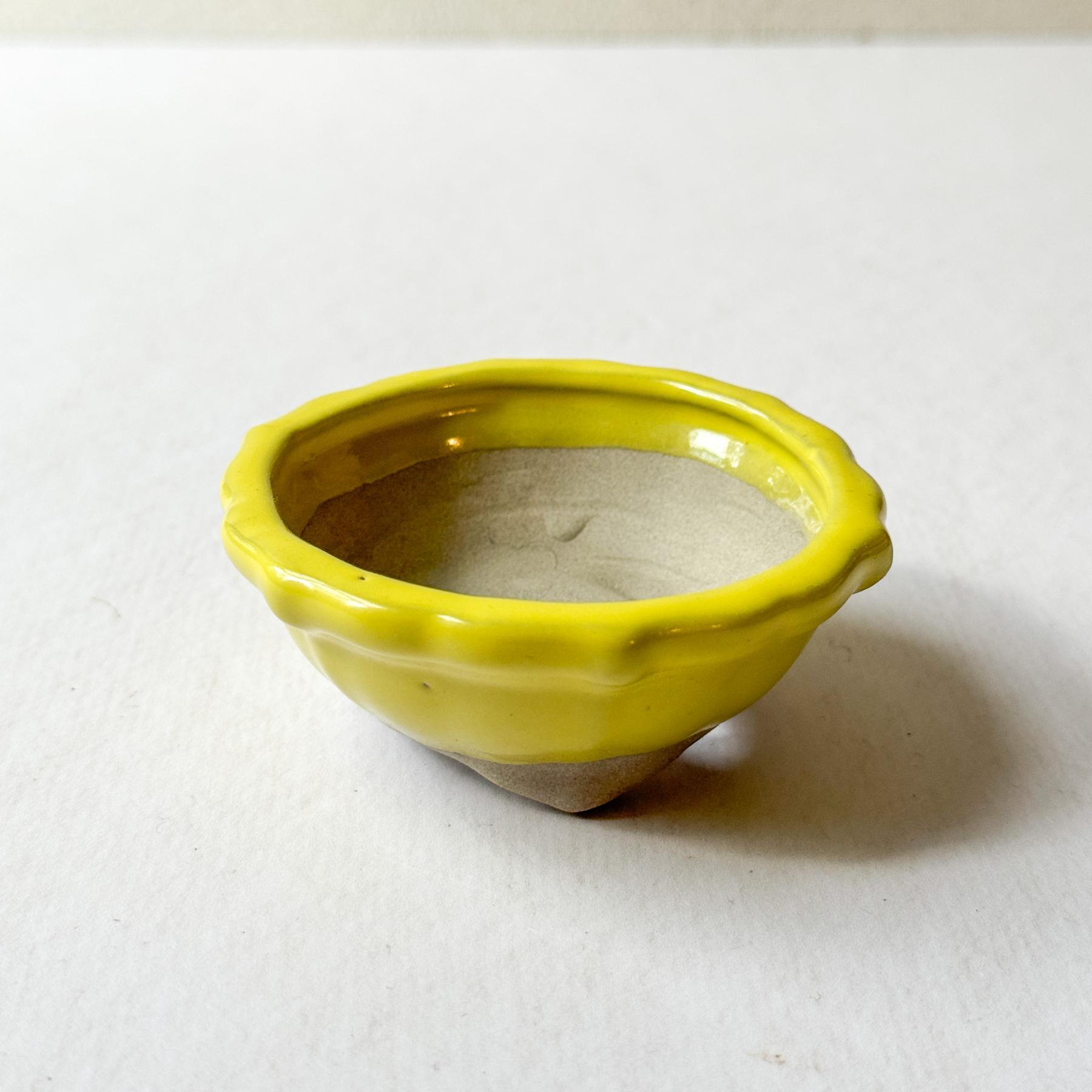 Mini Bonsai Pot | Dead Stock - Nagamochi Shop