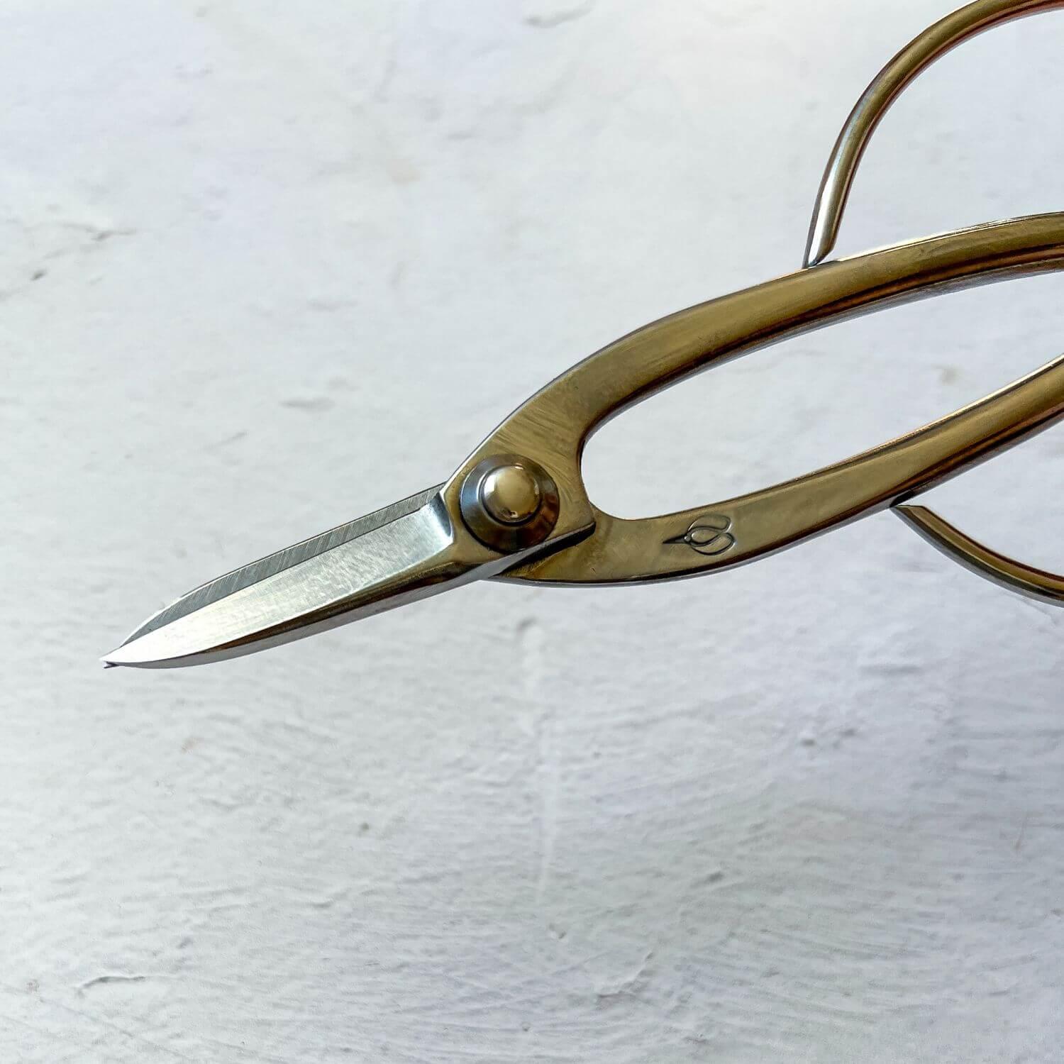 Kitchen Scissors by Toyama Hamono - Nagamochi Shop