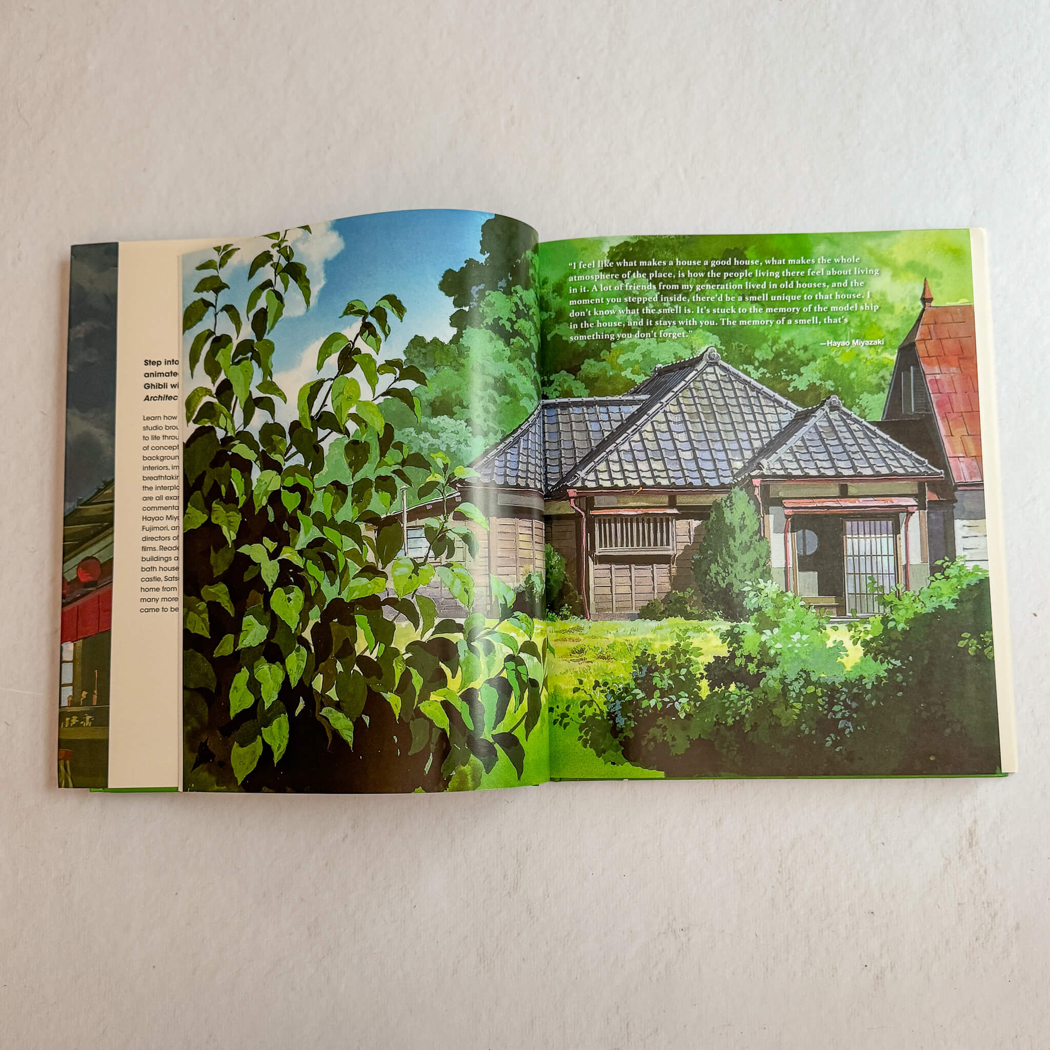 Studio Ghibli: Architecture in Animation - Nagamochi Shop