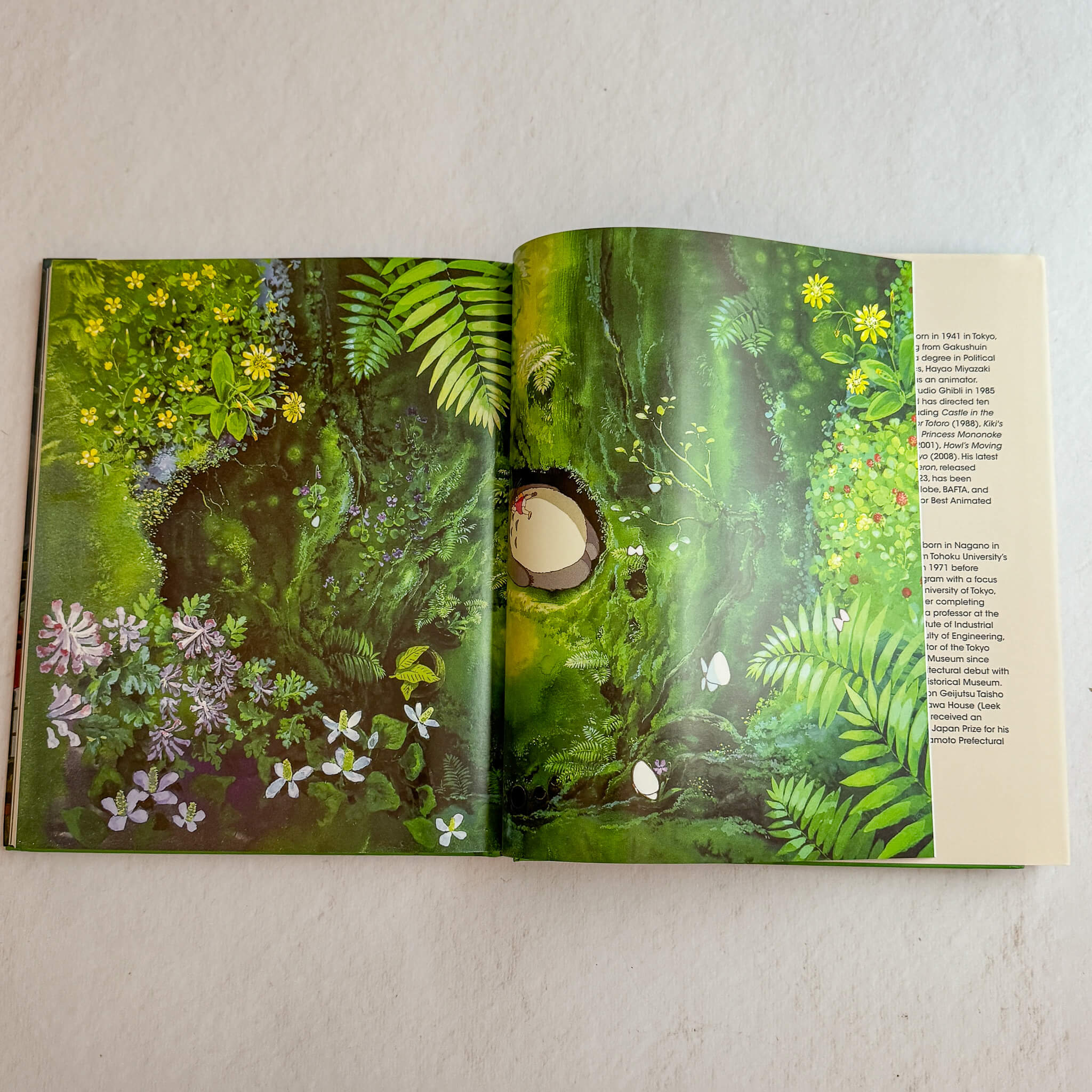 Studio Ghibli: Architecture in Animation - Nagamochi Shop