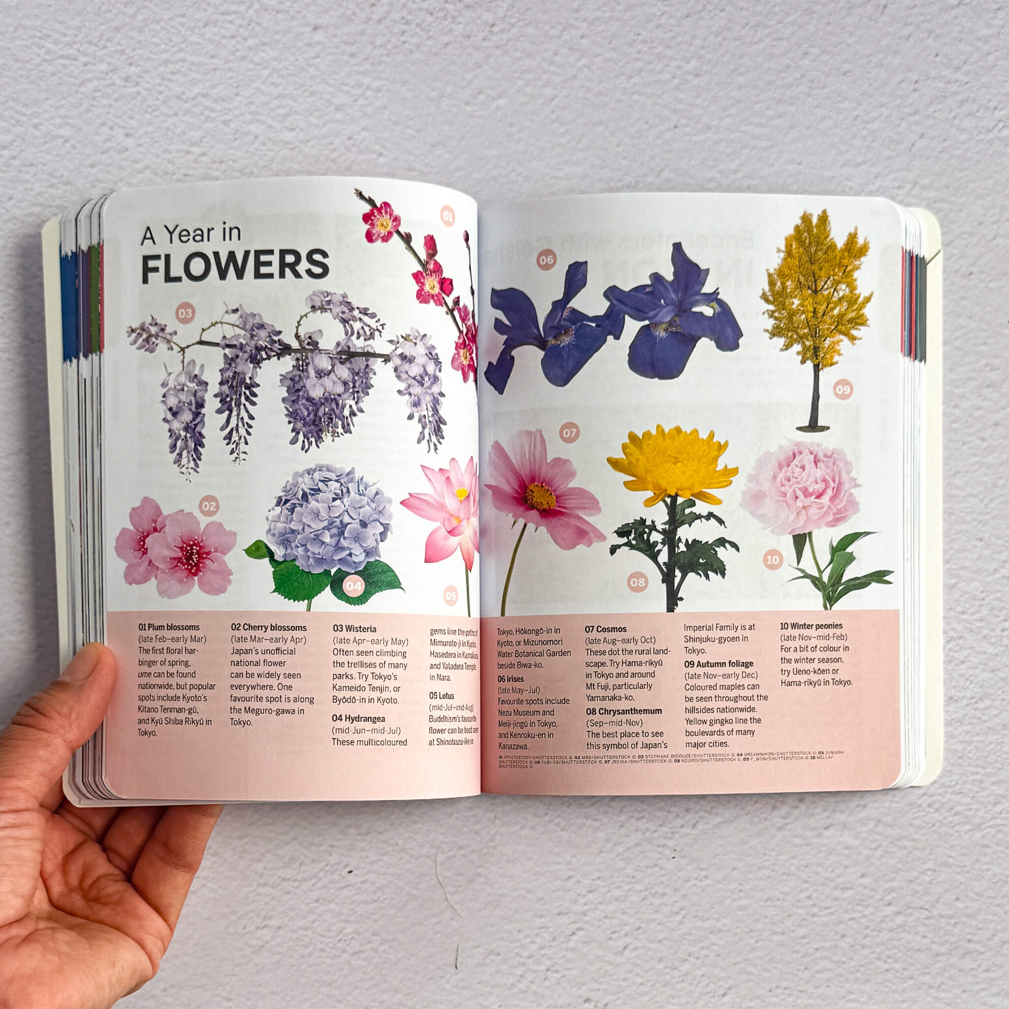 Lonely Planet Experience Japan | Published 2024