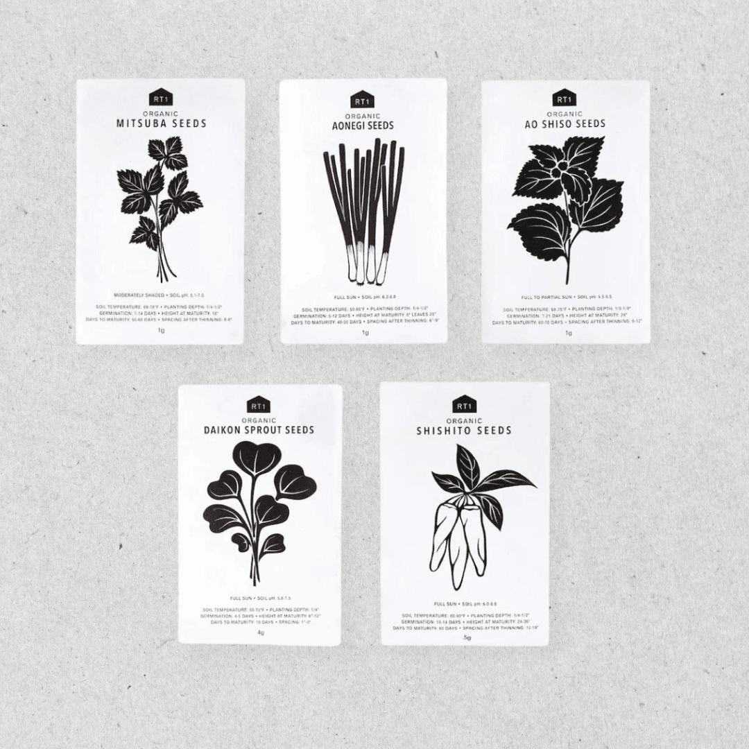 Japanese Herb Seeds - Pack of 5 - Nagamochi Shop