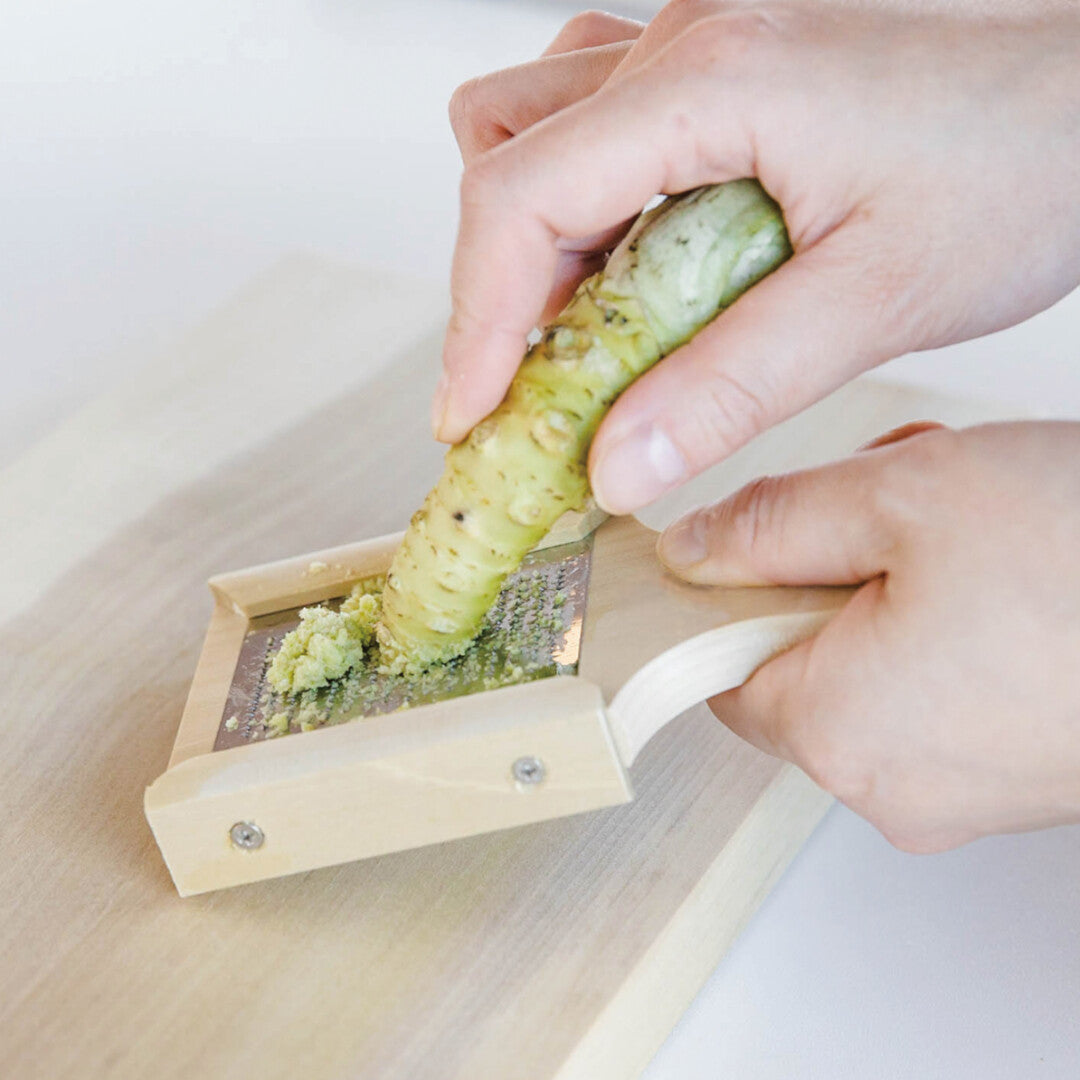 Stainless Steel Mini Wasabi & Ginger Grater