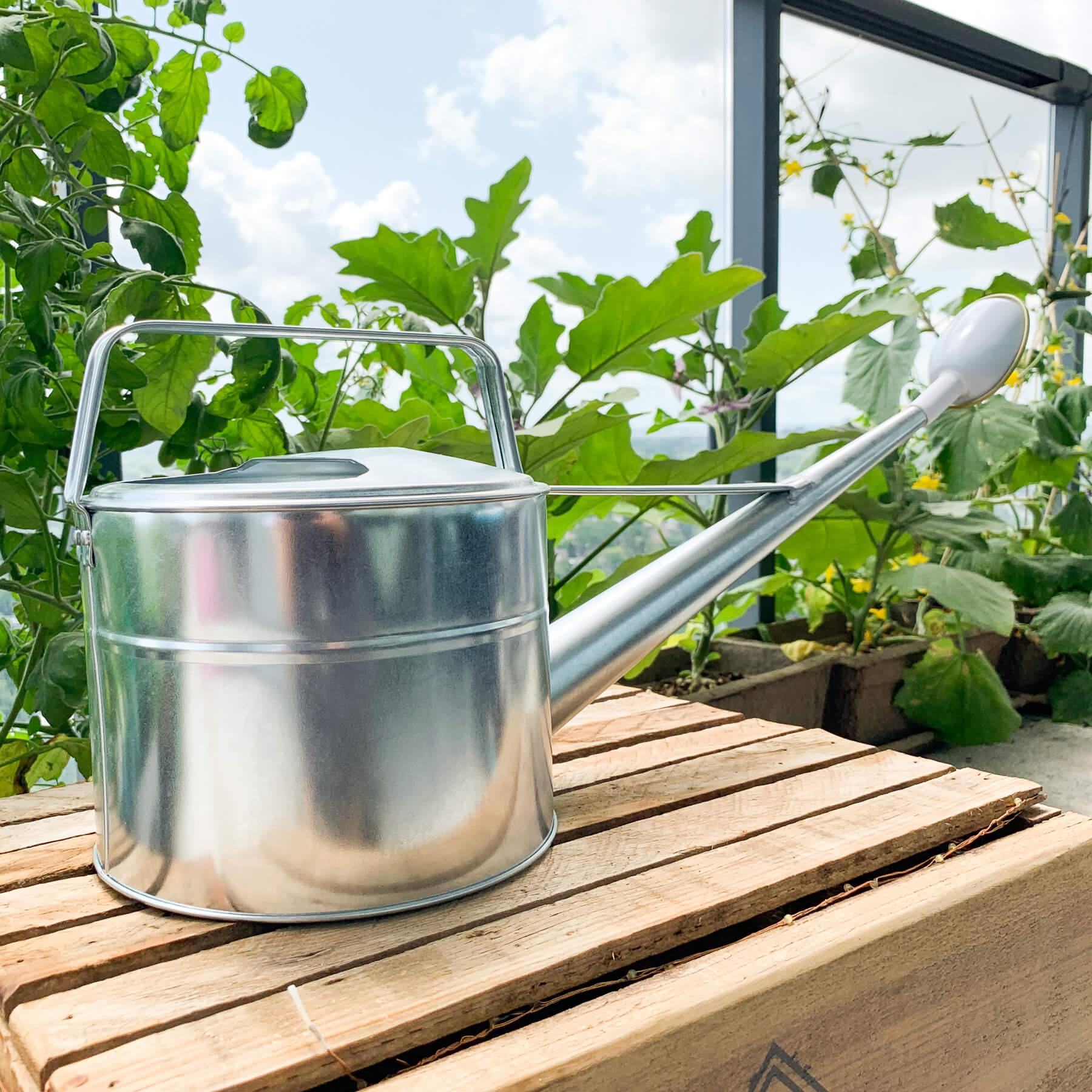4L Galvanized Watering Can - Nagamochi Shop