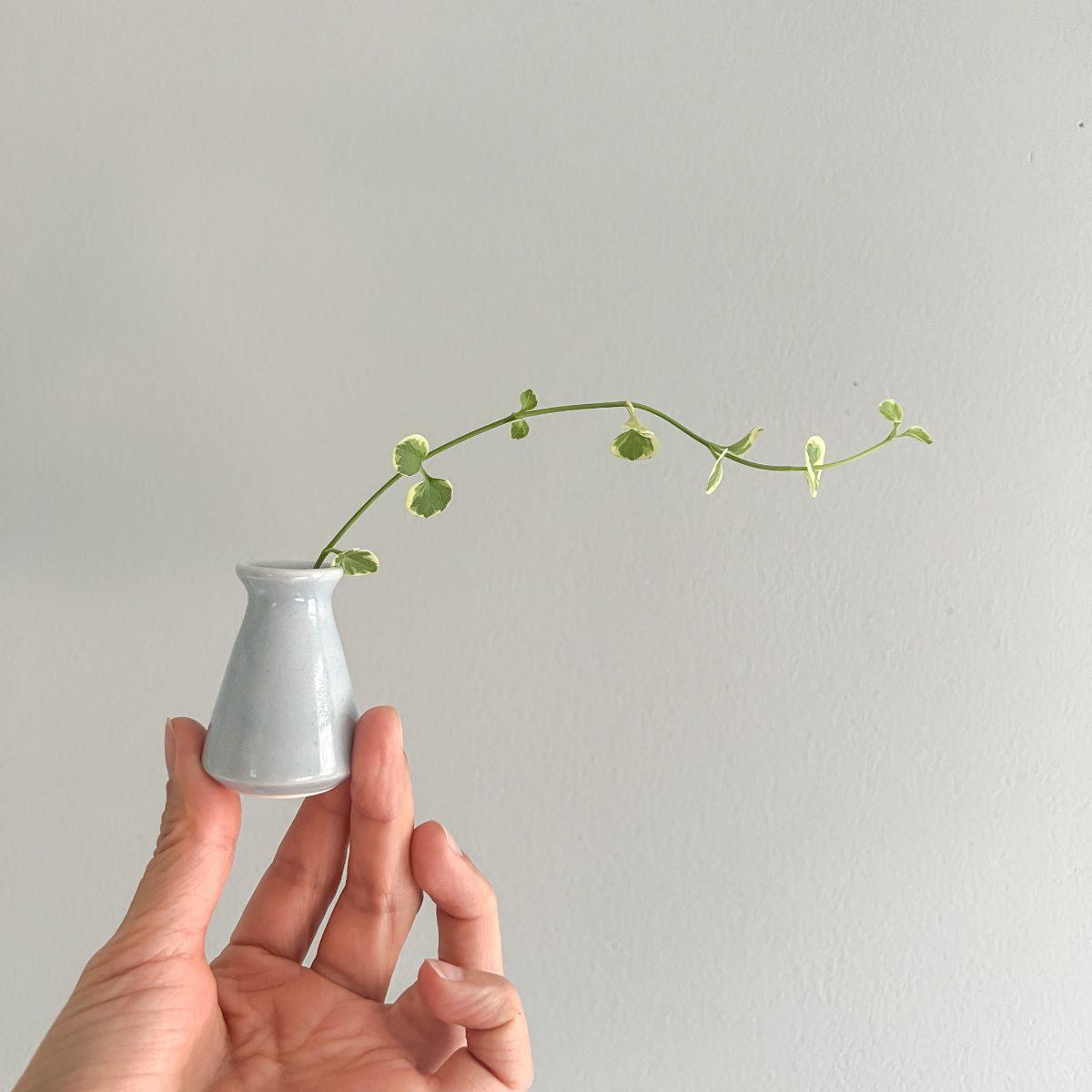Handmade Tiny Bud Vase (2022 Holiday) - Nagamochi Shop