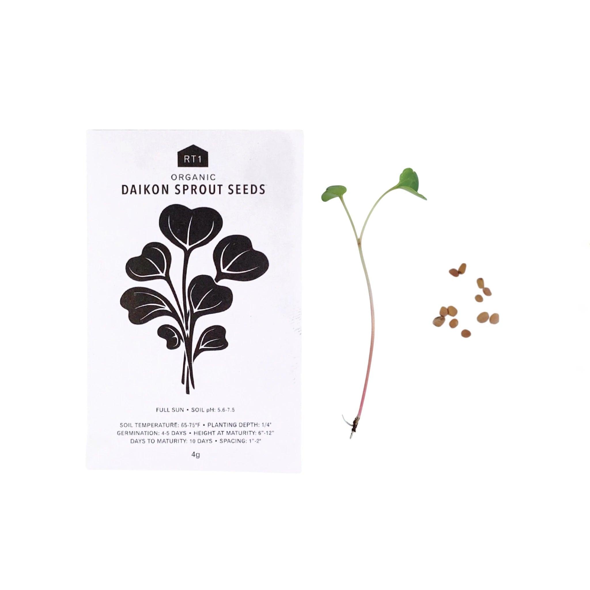 Japanese Herb Seeds - Pack of 5 - Nagamochi Shop