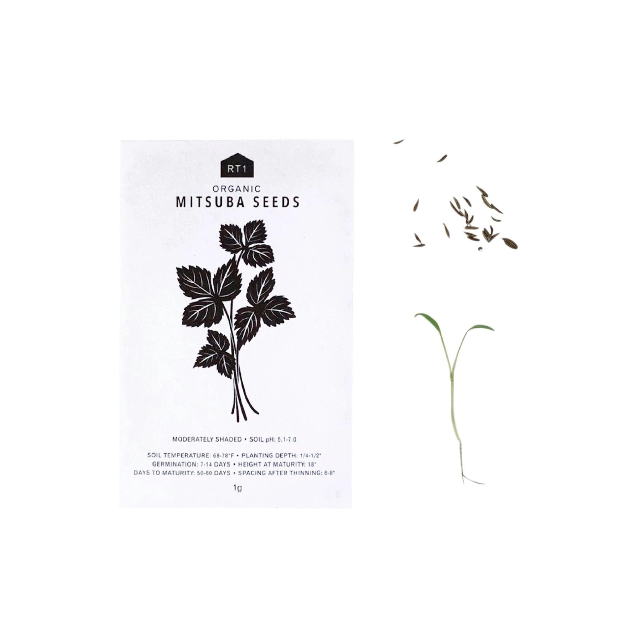 Japanese Herb Seeds - Pack of 5 - Nagamochi Shop