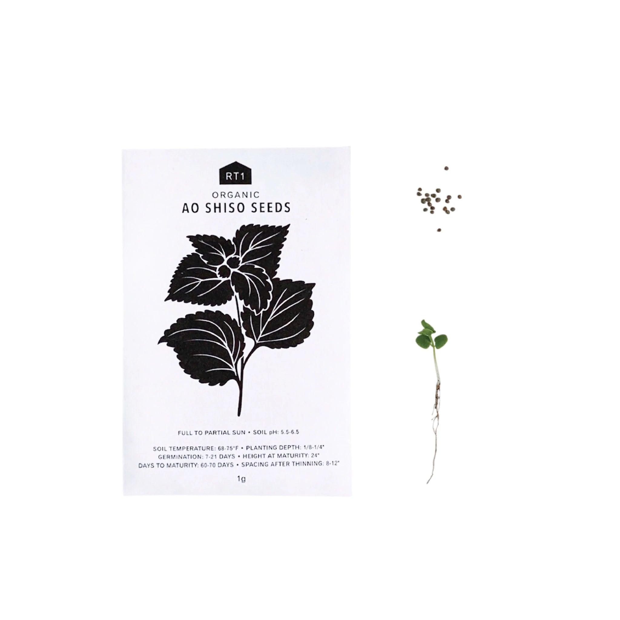 Japanese Herb Seeds - Pack of 5 - Nagamochi Shop