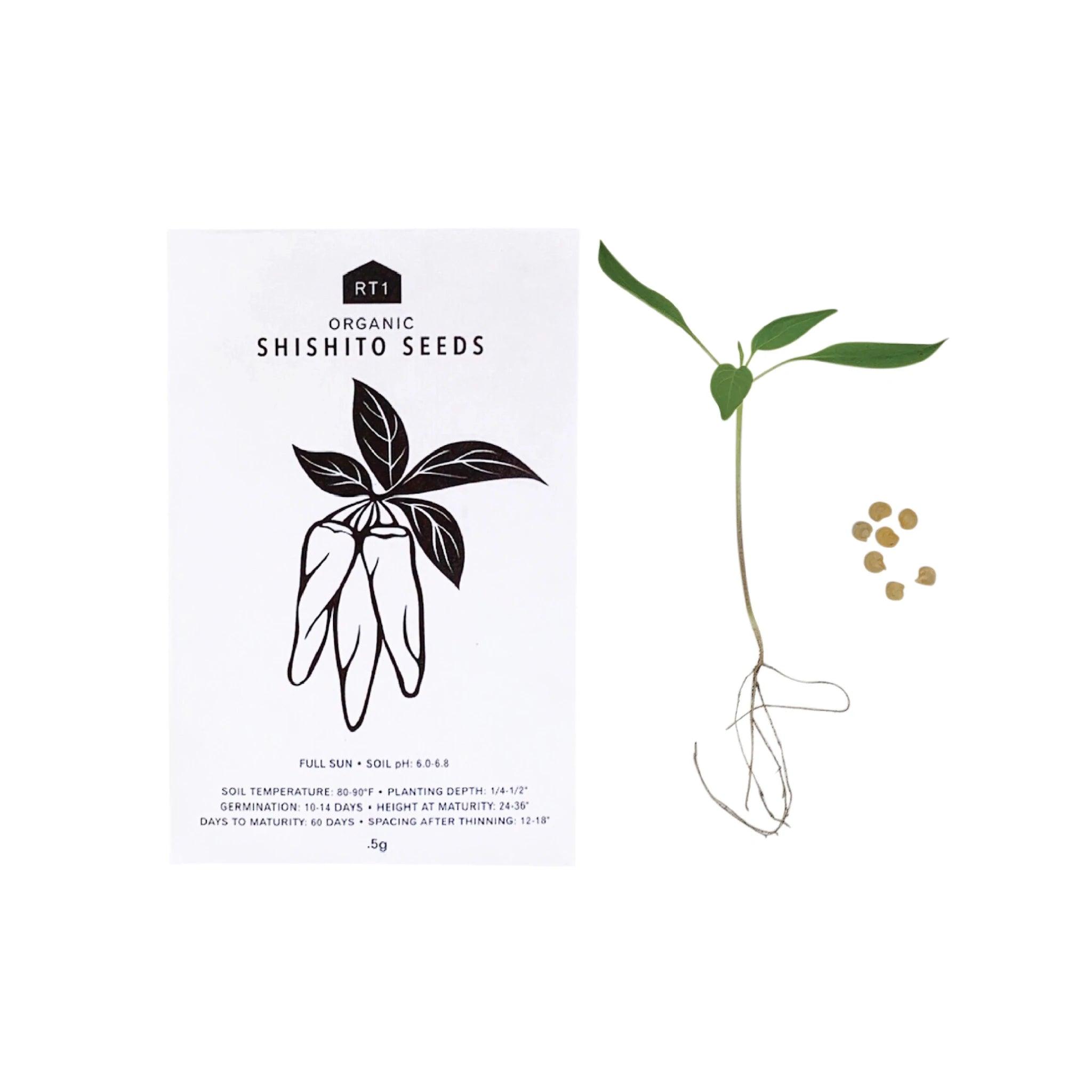 Japanese Herb Seeds - Pack of 5 - Nagamochi Shop