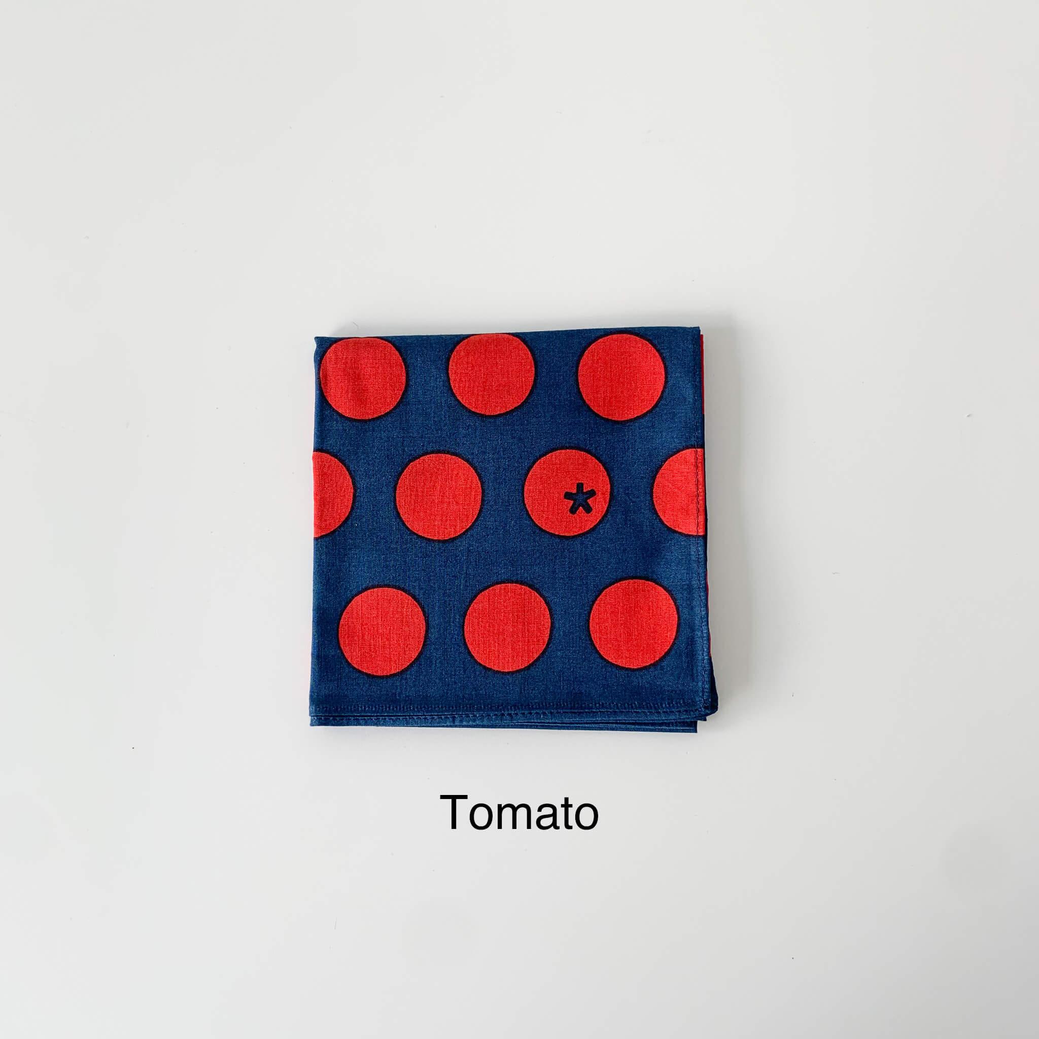 Mini Furoshiki for Bento Lunch Box - Nagamochi Shop