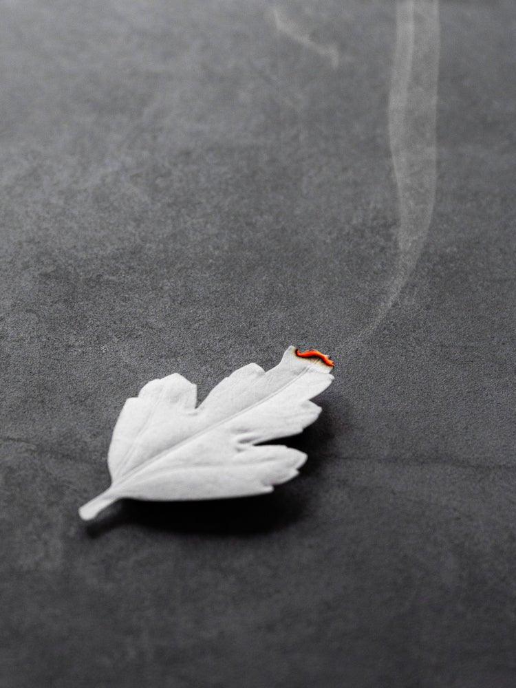 Paper Incense HA KO - Wooden Box Set of 5 With Incense Mat - Nagamochi Shop