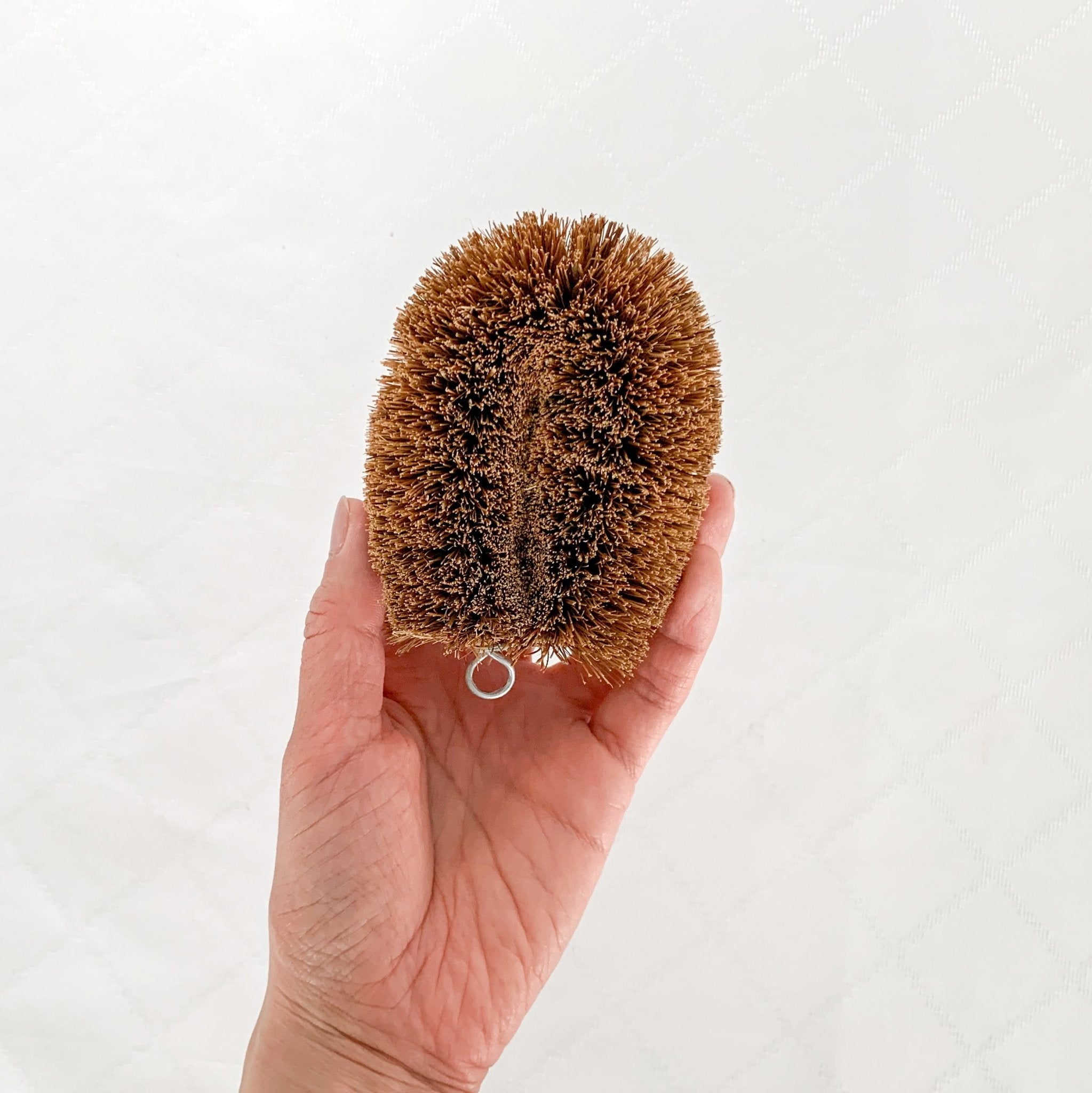 http://nagamochishop.com/cdn/shop/products/vegetable-scrub-brush-standard-size-kamenoko-tawashi-782766.jpg?v=1696989383