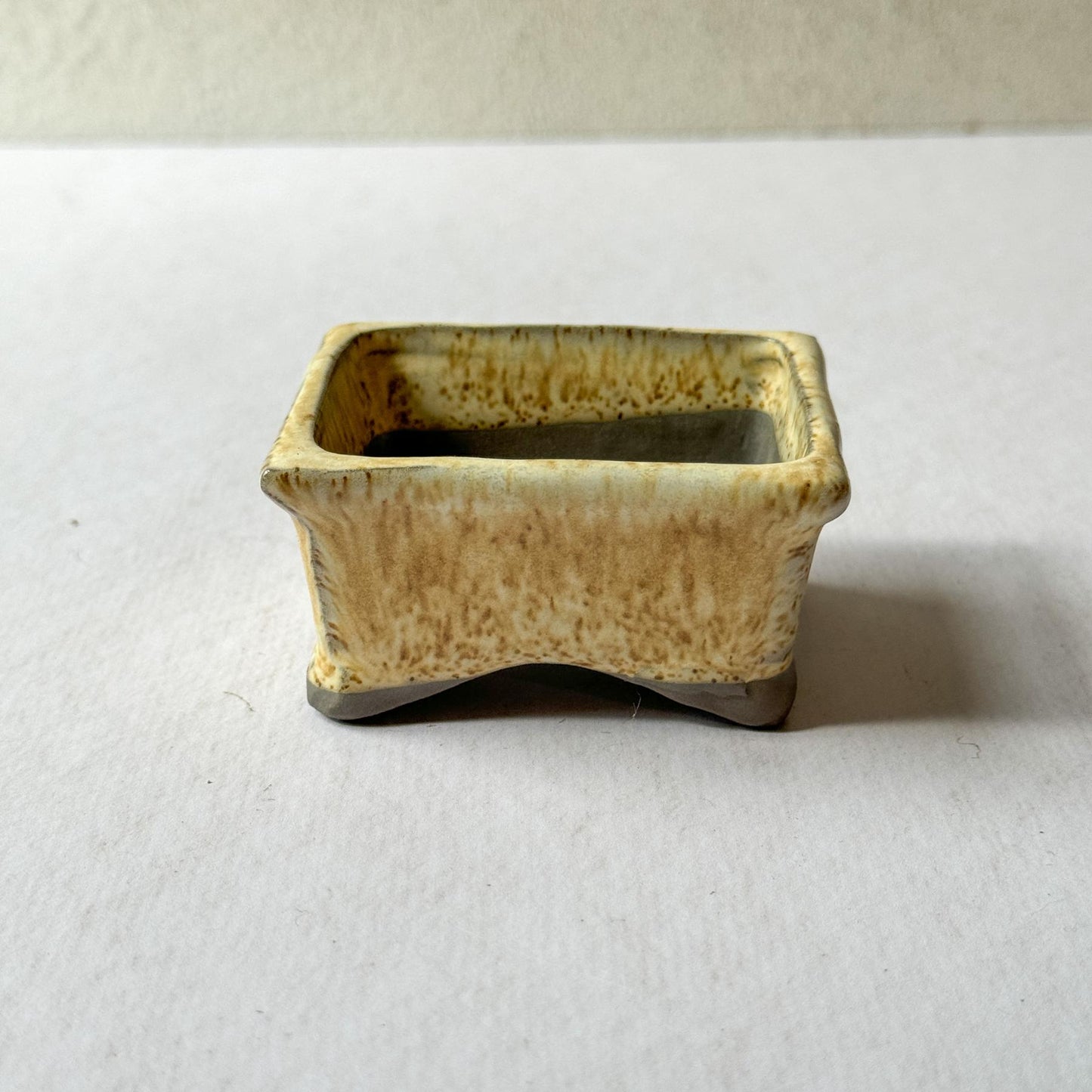 Mini Bonsai Pot | Dead Stock