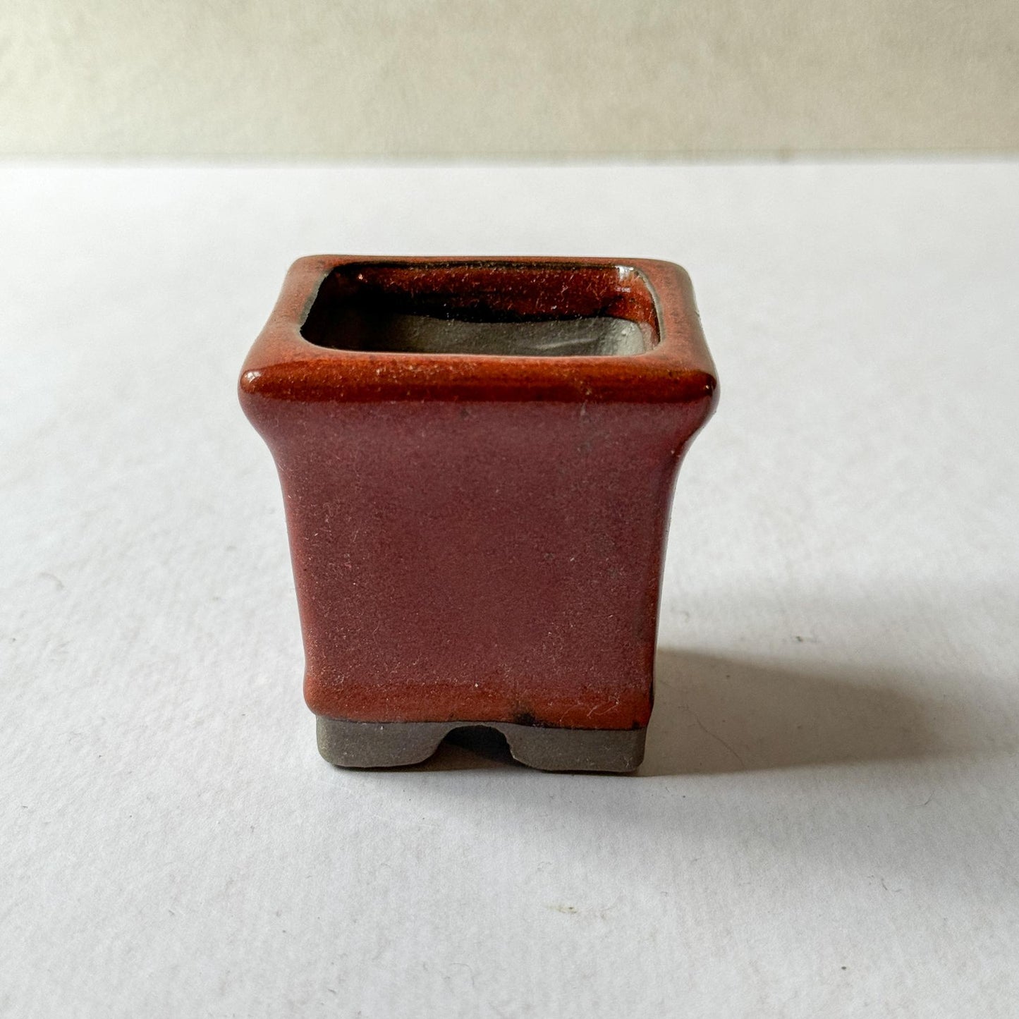 Mini Bonsai Pot | Dead Stock