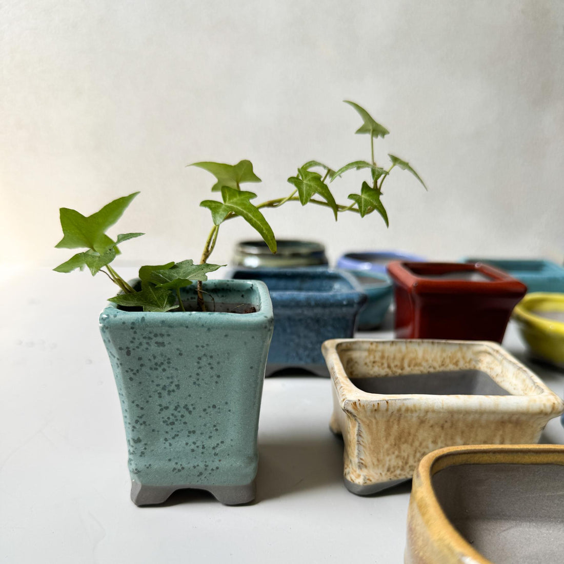 Mini Bonsai Pot | Dead Stock - Nagamochi Shop