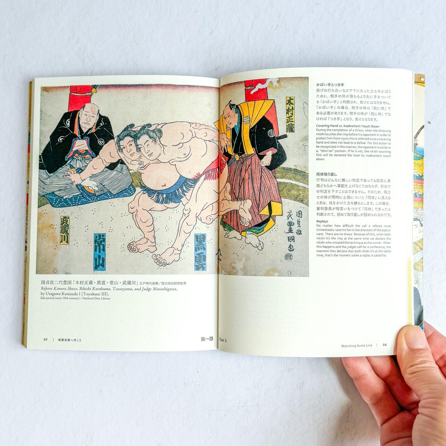 Sumo Guide Book | The Perfect Guide To Sumo - Nagamochi Shop