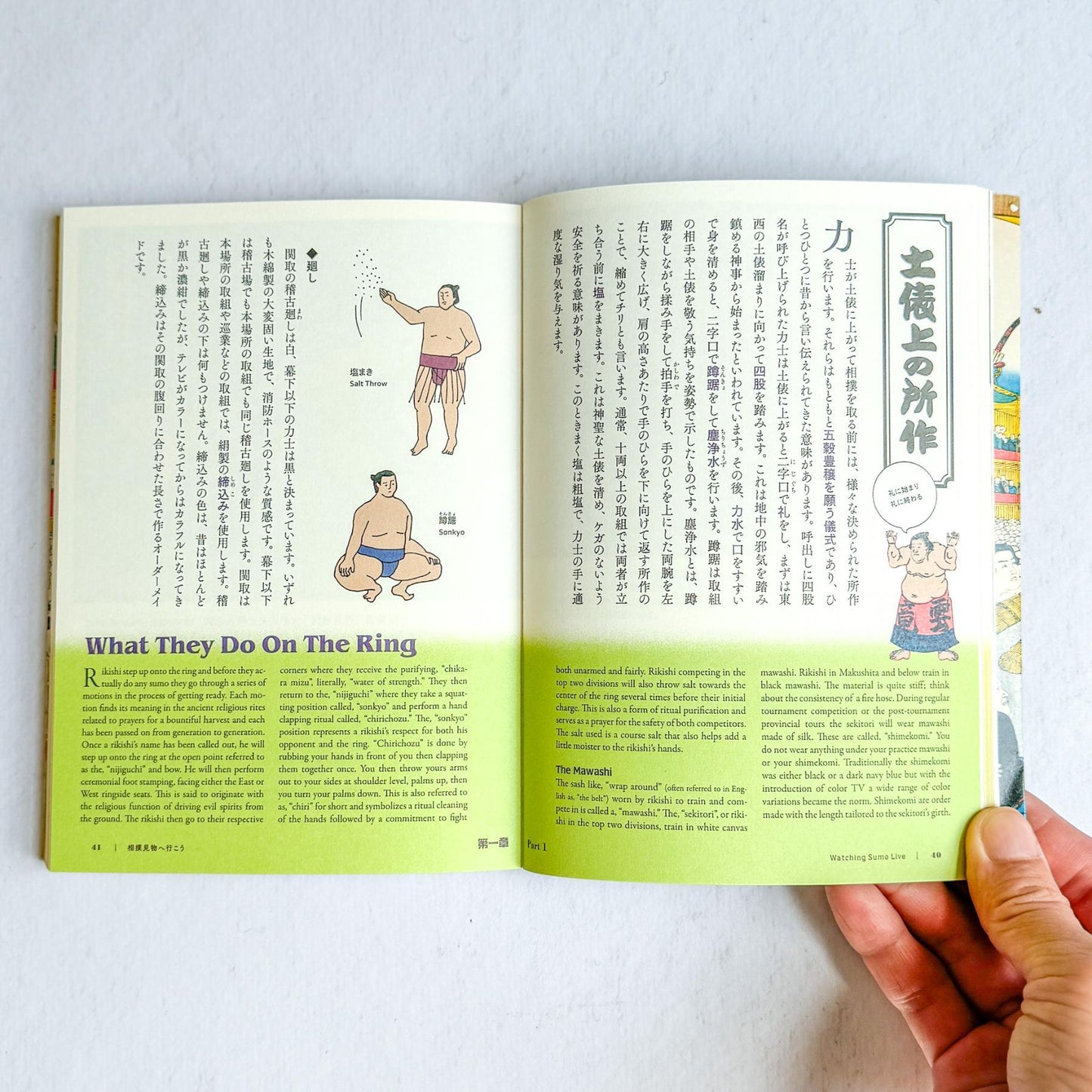 Sumo Guide Book | The Perfect Guide To Sumo - Nagamochi Shop