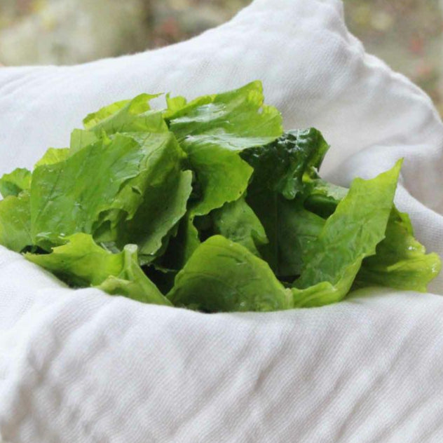 Caya (Kaya) Dish Cloth Made in Nara, Japan