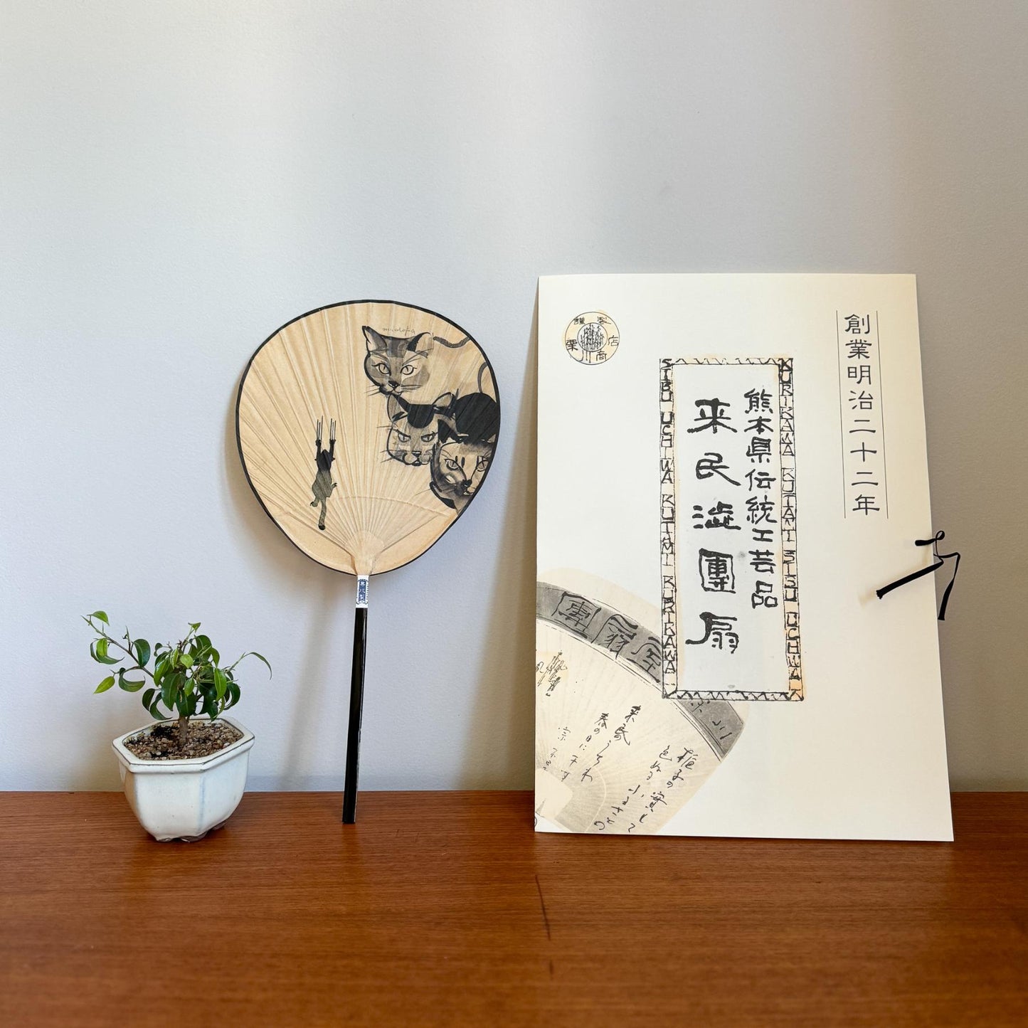 Japanese Shibu Uchiwa Fan "Trio the Cat" | Kumamoto, Japan