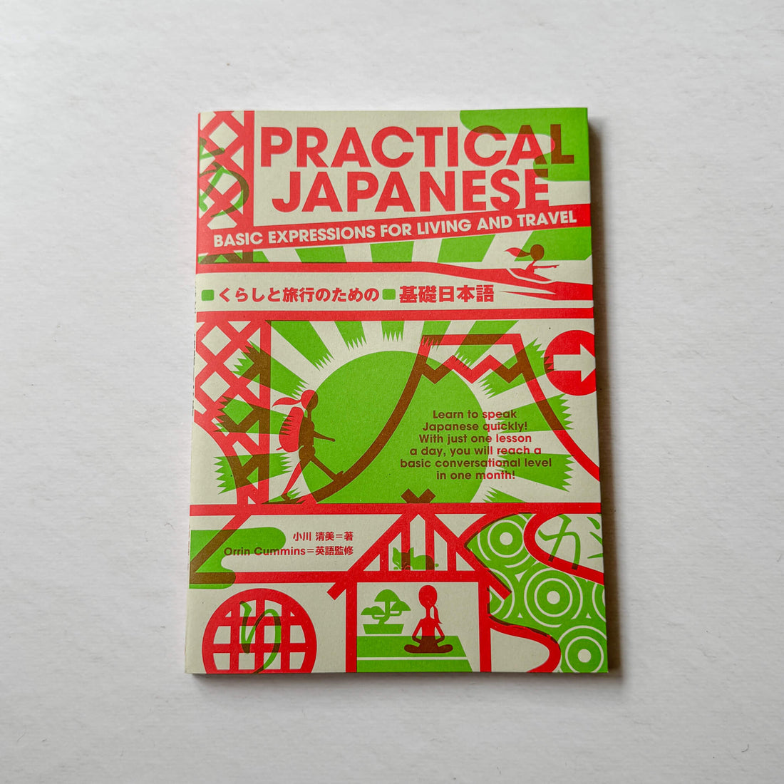 Practical Japanese: Basic Expressions for Living and Travel | Beginner Japanese Textbook