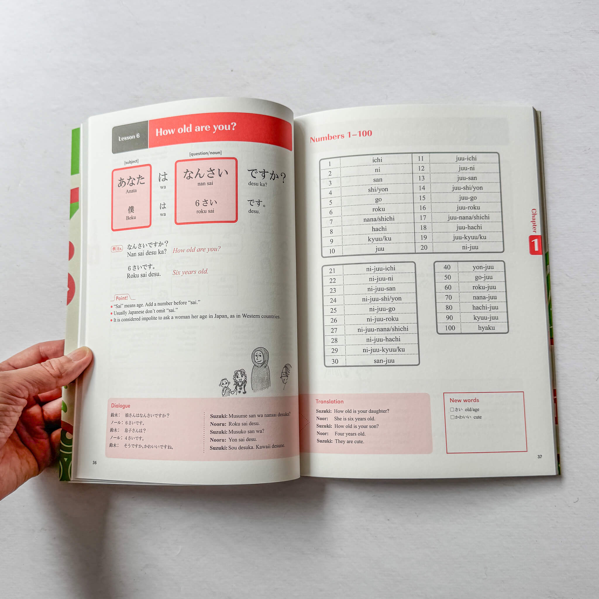 Practical Japanese: Basic Expressions for Living and Travel | Beginner Japanese Textbook