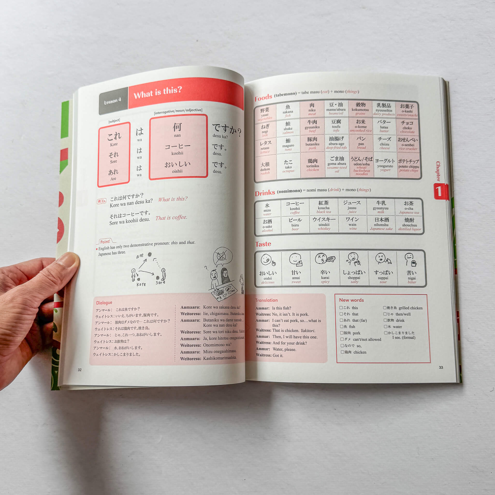 Practical Japanese: Basic Expressions for Living and Travel | Beginner Japanese Textbook