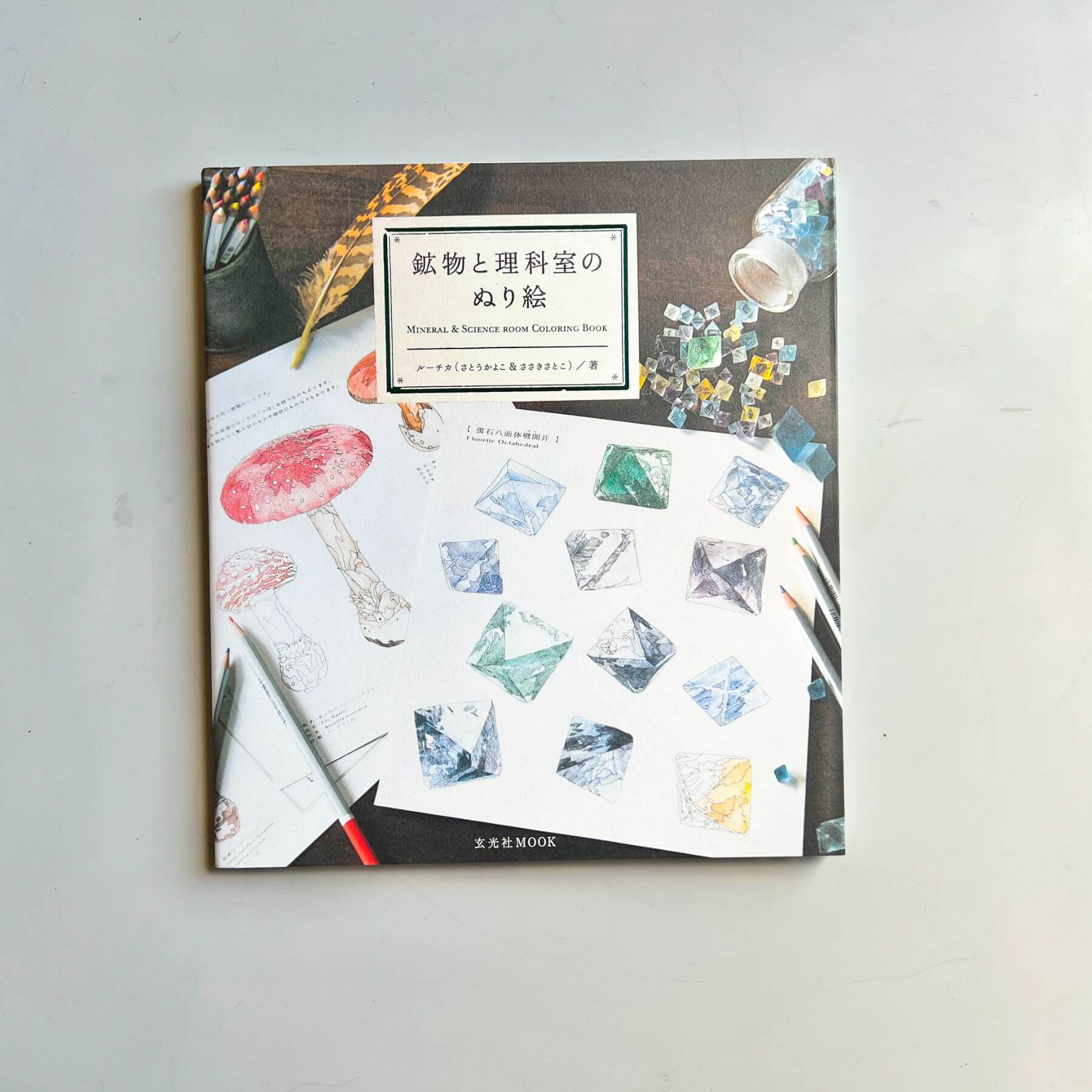 Coloring Book [Mineral & Science Room] – Nagamochi Shop