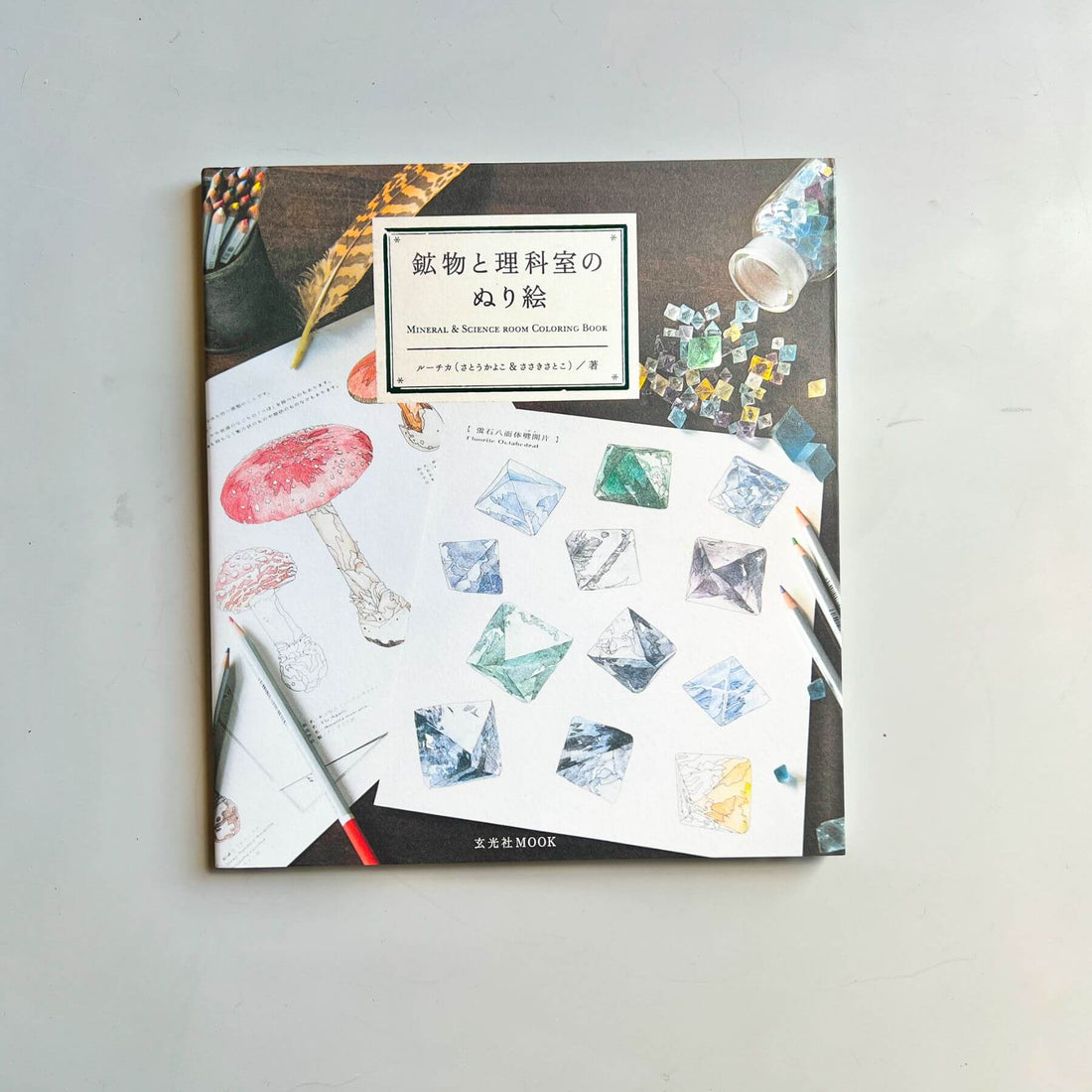 Coloring Book [Mineral &amp; Science Room] - Nagamochi Shop