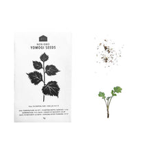 Load image into Gallery viewer, Japanese Medicinal Herb Seeds- Pack of 5GardeningNagamochi Shop
