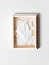 Load image into Gallery viewer, Paper Incense HA KO - Wooden Box Set of 5 With Incense Matお香Nagamochi Shop
